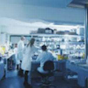 Meet your Posher, Luis